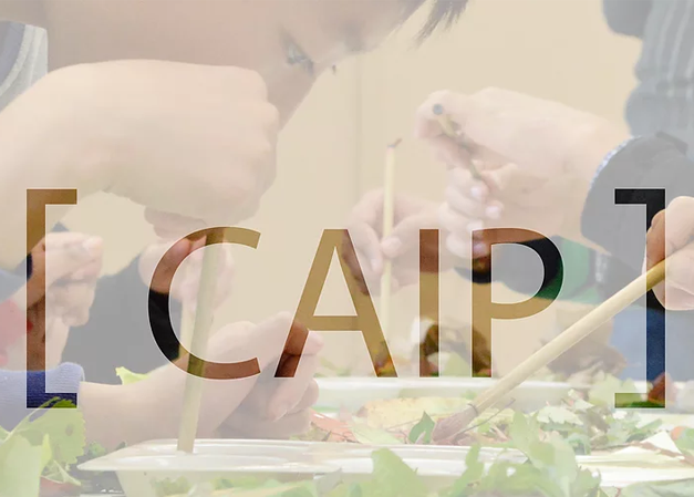CAIP Grant Info Session for Artists and Artist Collectives